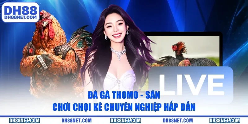 Đá Gà Thomo - Sân Chơi Chọi Kê Chuyên Nghiệp Hấp Dẫn