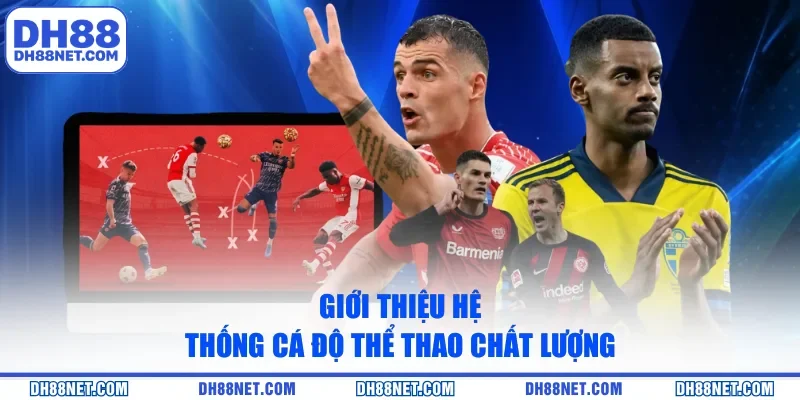 Giới thiệu hệ thống cá độ thể thao chất lượng