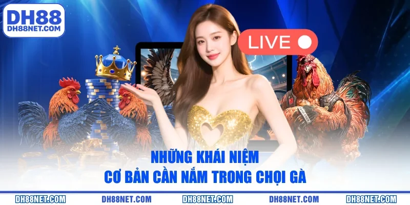 Những khái niệm cơ bản cần nắm trong chọi gà