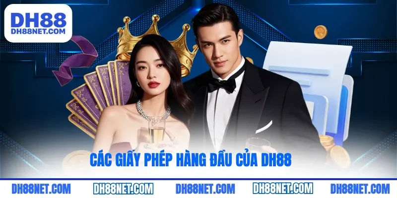 Các giấy phép hàng đầu của DH88
